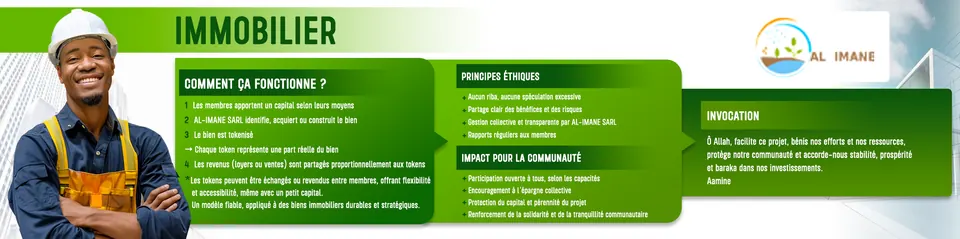 Affiche : Immobilier tokenisé