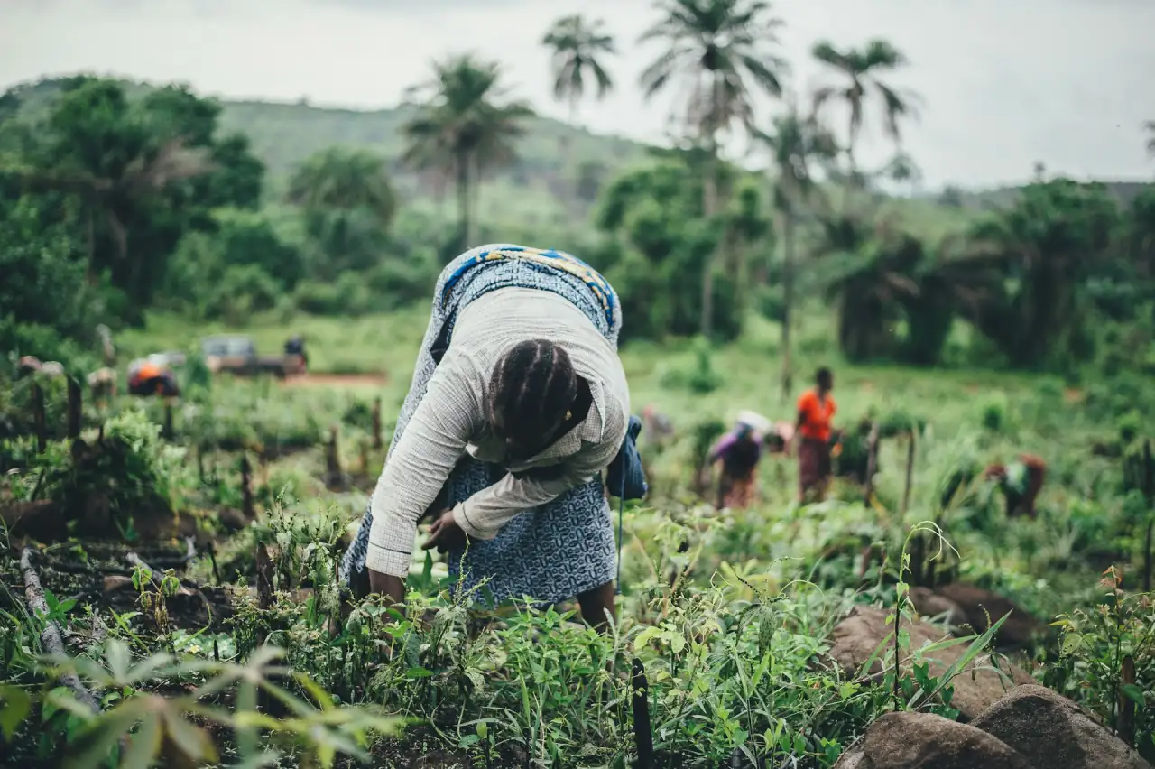 Agricultrice au travail dans un champ